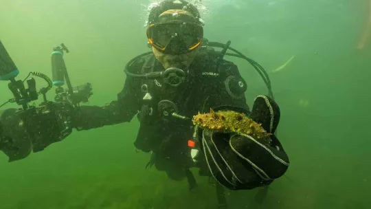 Büyükakın dalgıç kıyafeti giydi, dibe indi: Gördüğü manzara şaşırttı