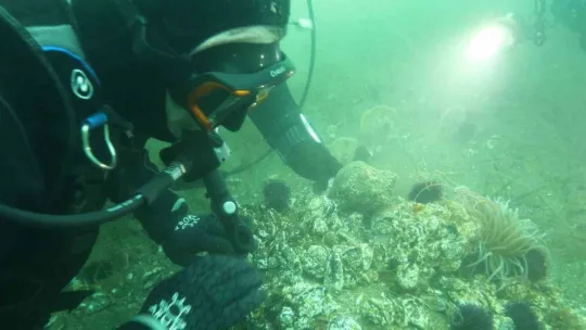 Belediye başkanı dalış yaptı, su altından müjdeyle çıktı