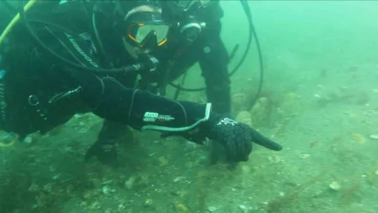 Belediye başkanı dalış yaptı, su altından müjdeyle çıktı