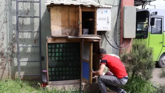 Belediye ekipleri aç kalan güvercinler için seferber oldu