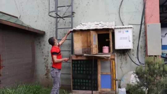 Belediye ekipleri aç kalan güvercinler için seferber oldu