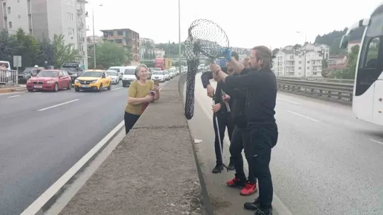 Beton bariyerlere sıkışan kedi için trafiği durdurdular