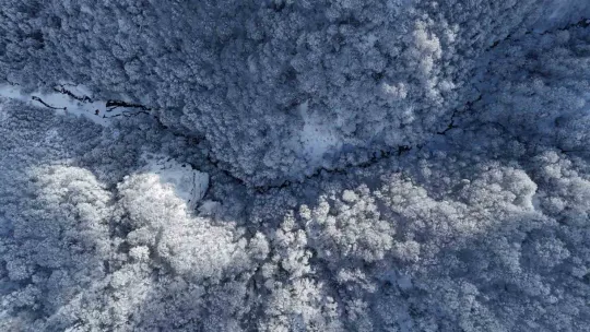 Beyaz, mavi ve yeşil birleşti: Eşsiz manzara mest etti