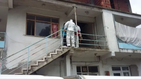 Binadan 34 sokak köpeği çıktı!