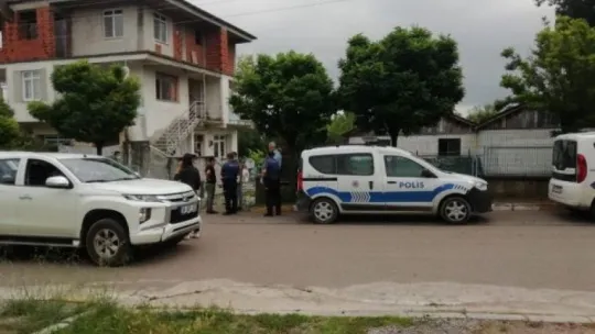 Binadan 34 sokak köpeği çıktı!
