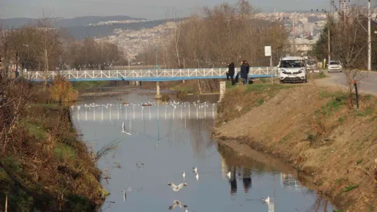 Bir ay önce beyaza bürünen dere şimdi simsiyah