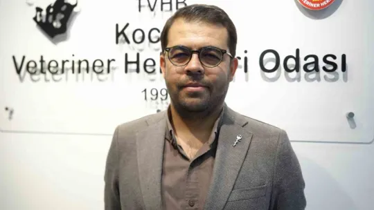 Boyalı köpekler merak uyandırdı