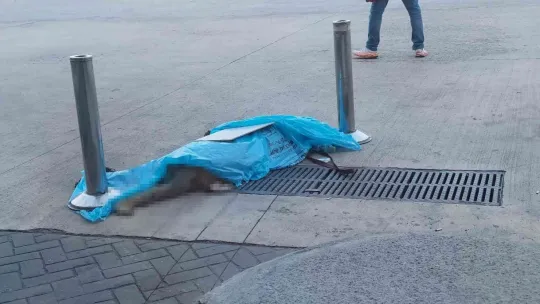 Böyle vicdansızlık görülmedi