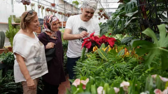 Bu çiçeklere sonbaharda ilgi arttı