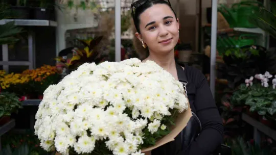 Bu çiçeklere sonbaharda ilgi arttı