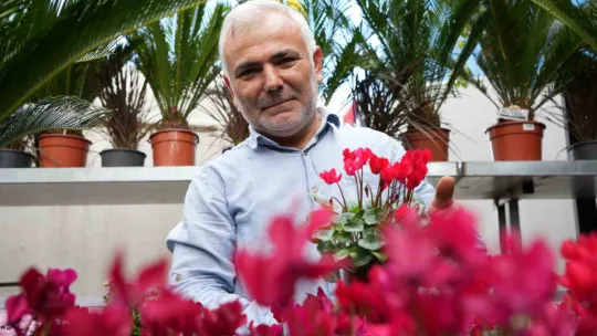 Bu çiçeklere sonbaharda ilgi arttı