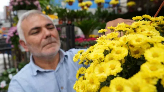 Bu çiçeklere sonbaharda ilgi arttı
