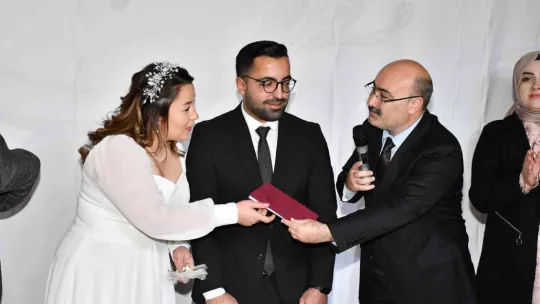 Bu da tapulu damat