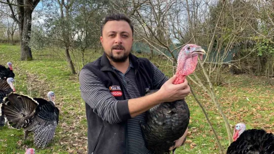 Bu hindiler çok meşhur