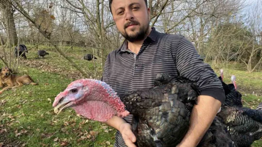 Bu hindiler çok meşhur