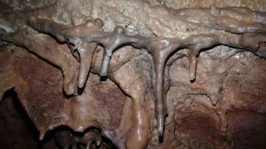 Bu mağaraya gelen donuyor