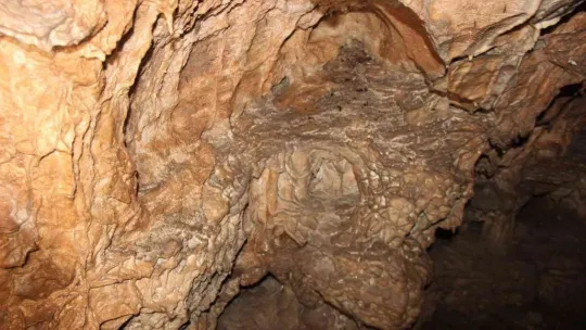 Bu mağaraya gelen donuyor