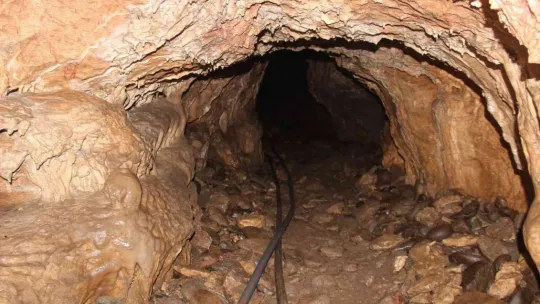 Bu mağaraya gelen donuyor