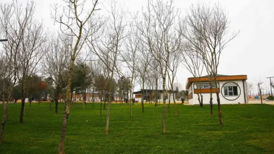 Bu parkta yok yok
