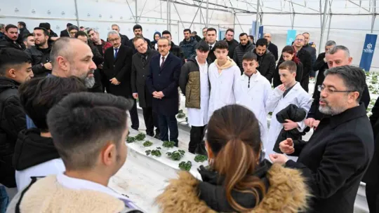 Bu serada 12 ay boyunca hasat mümkün