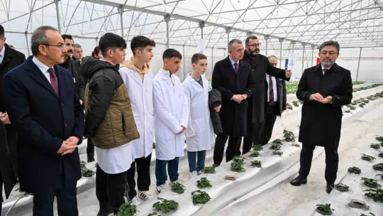 Bu serada 12 ay boyunca hasat mümkün