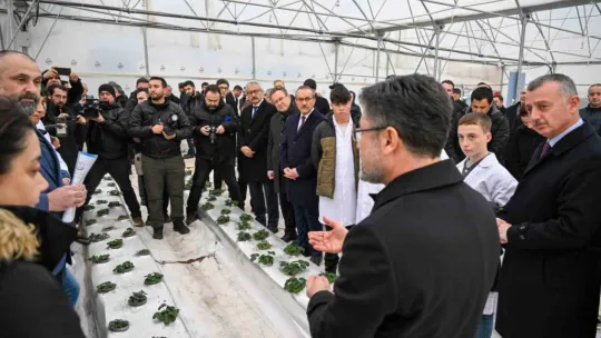 Bu serada 12 ay boyunca hasat mümkün