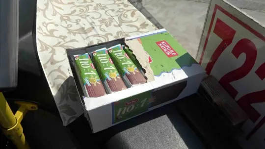Bu şoför bir başka
