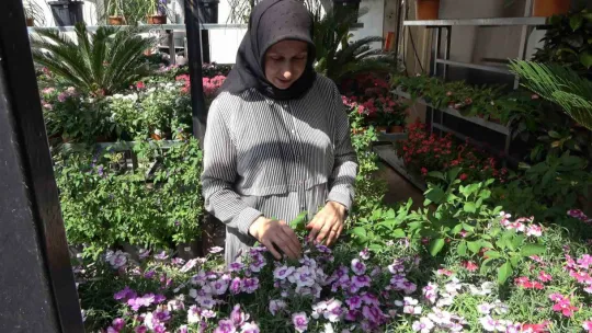 Bu yaz evleri ve gönülleri en çok renklendiren çiçekler