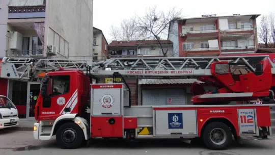 Budadığı ceviz ağacında fenalaştı