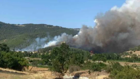 Bursa-Balıkesir sınırında orman yangını