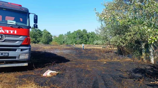 Bursa'da orman yangını