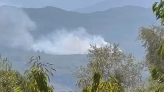 Bursa'da orman yangını