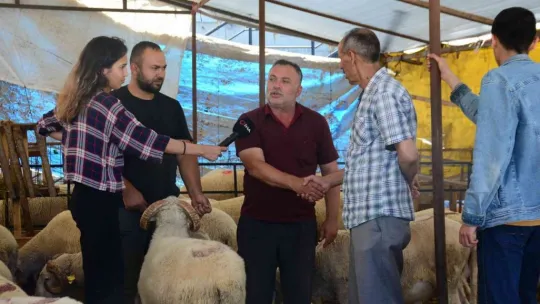 Küçükbaşlar alıcılarını bekliyor