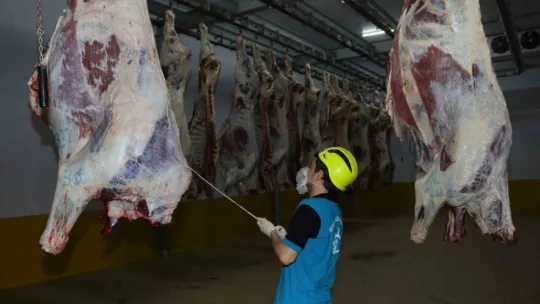 Büyükşehir mezbahasında bakın kaç kesim yapıldı