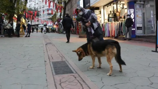Caddenin demirbaşı oldu