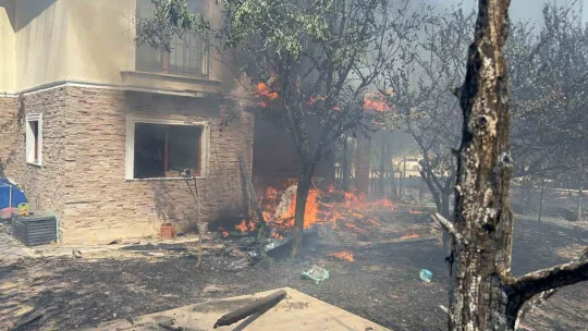 Çanakkale'de orman yangını