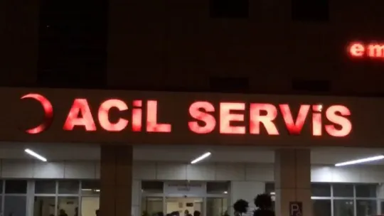 Canı elma çekti, toplamak için çıktığı ağaçtan düşerek bacağını kırdı