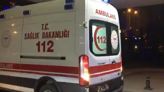 Canı elma çekti, toplamak için çıktığı ağaçtan düşerek bacağını kırdı