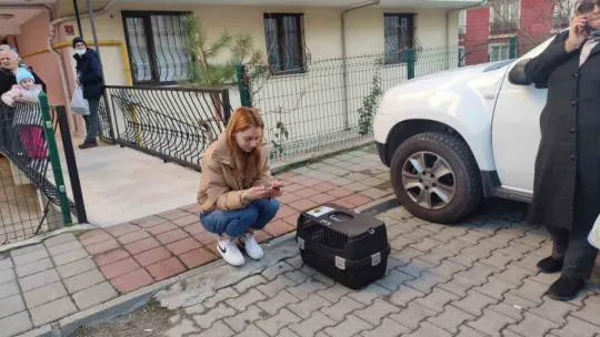 4,5 büyüklüğünde deprem