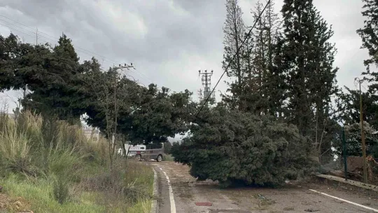 Çatıdan kopan kereste seyir halindeki otobüse saplandı