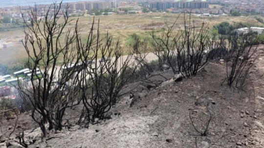 Çevreyi temizlemek isterken 20 dönümlük ormanı yaktı