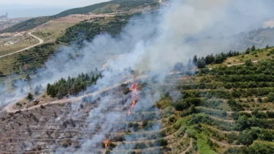 Çevreyi temizlemek isterken 20 dönümlük ormanı yaktı