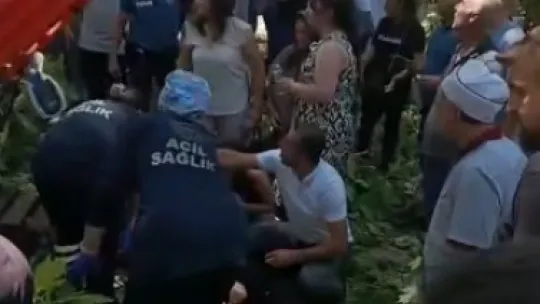 Çınar ağacının kırılan dalı üzerine düşen kişi hayatını kaybetti
