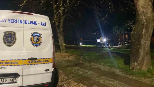 Kartepe'deki cinayet davasında şok ifadeler