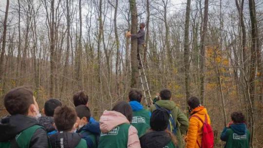 Çocuklar yaban hayatı tanıdı