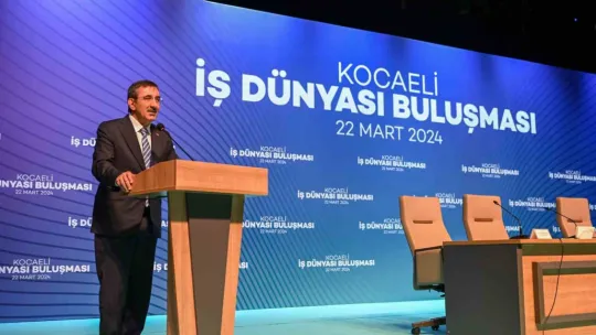 Cumhurbaşkanı Yardımcısı Yılmaz: Dövize erişimde problemimiz yok