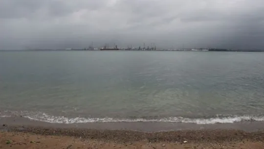 Çürüyen deniz salyası dehşete düşürdü!