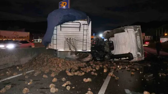 Sakarya'da faciadan dönüldü