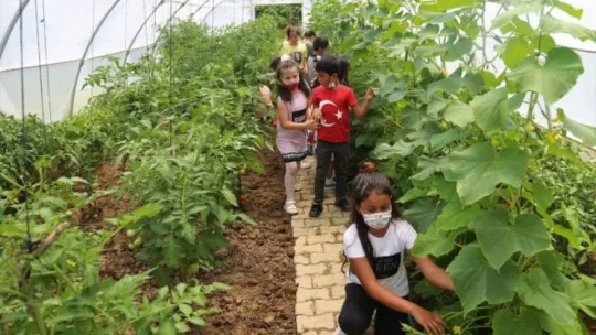 Daha önce hiç böyle bir köy okulu görmediniz
