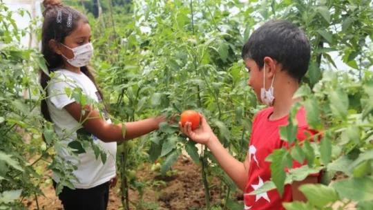 Daha önce hiç böyle bir köy okulu görmediniz